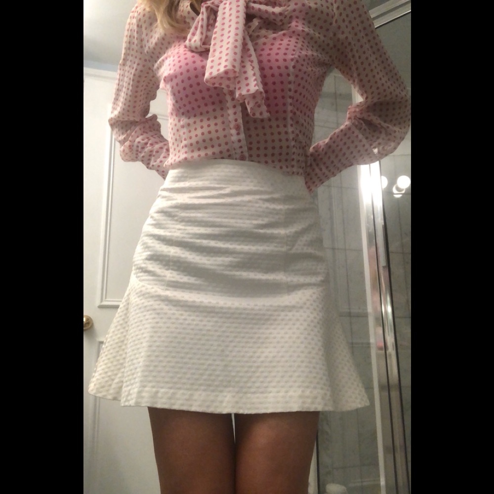 Ann Taylor skirt